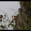20140826_0048